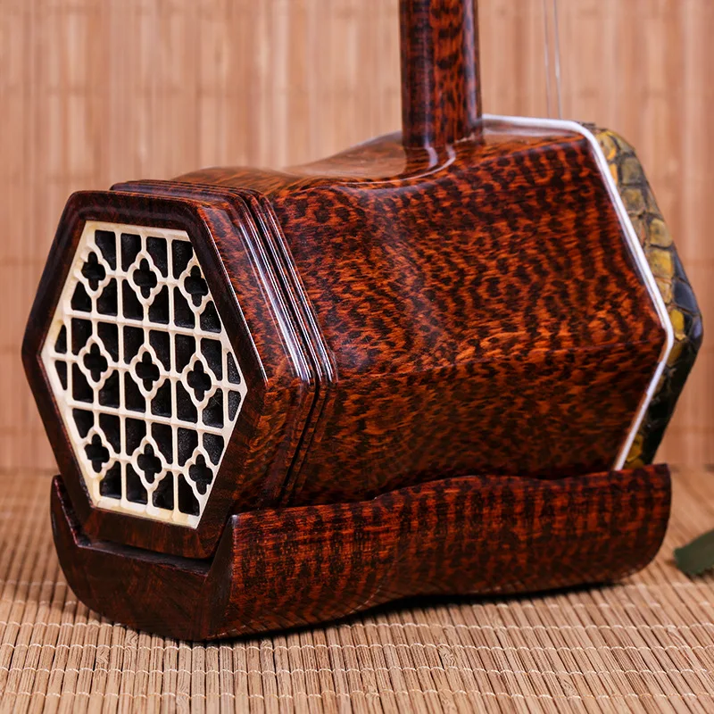 Chinese Two Strings Violin Pro - Erhu Violin Chinese ulasan dan harga