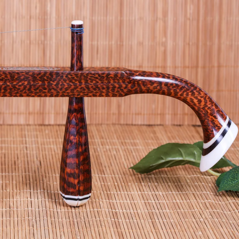 Chinese Two Strings Violin Pro - Erhu Violin Chinese ulasan dan harga