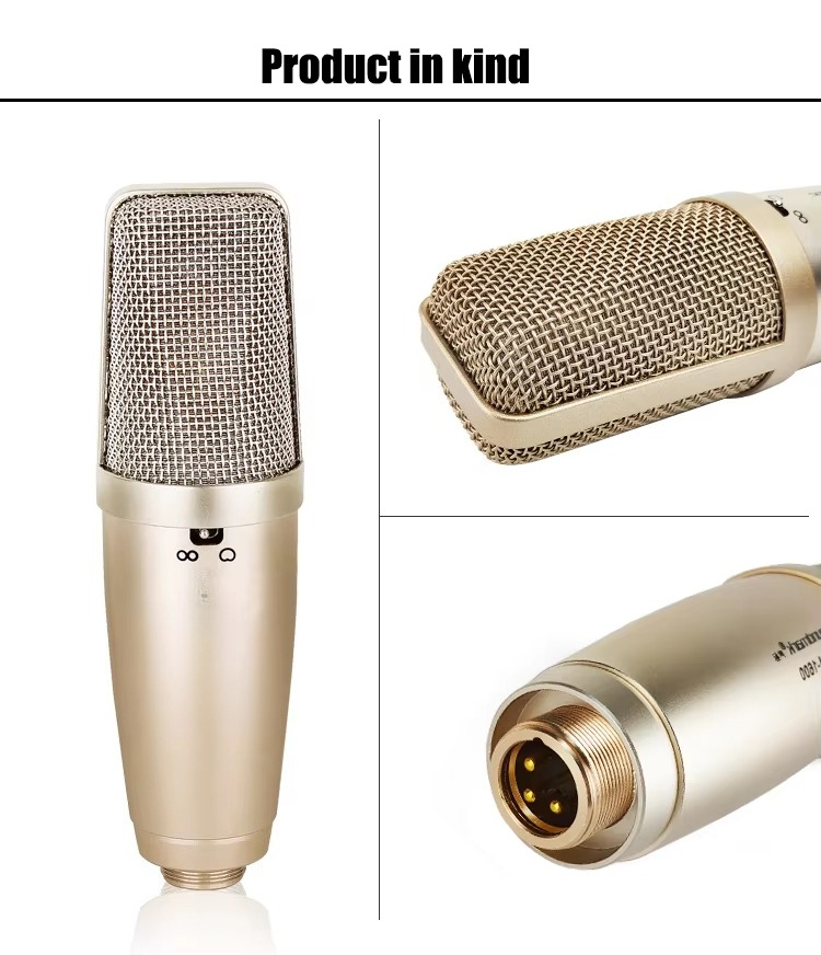 Brand New Kids Microphone With - Song With Musical Instrument ulasan dan harga