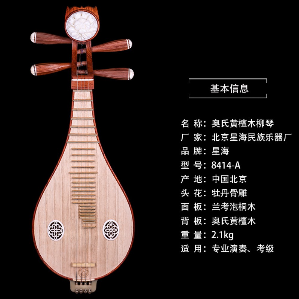 Beijing Xinghai 8414-A Rosewoo - Musical Instrument ____ ulasan dan harga