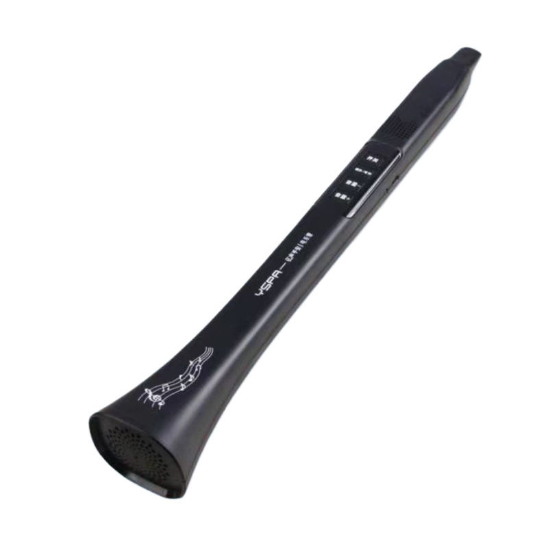 Portable Electronic Wind Instr - Musical Instrument ____ ulasan dan harga