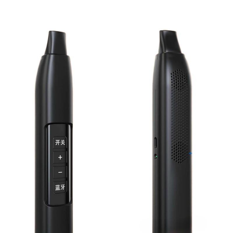 Portable Electronic Wind Instr - Musical Instrument ____ ulasan dan harga